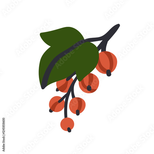 Red currant berries growing on branch with green leaf. Fresh ripe redcurrant ...
