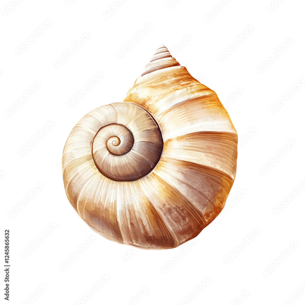 Spiral shell with intricate patterns and warm colors, showcasing natures beauty Spiral shell with intricate patterns and warm colors, showcasing natures beauty