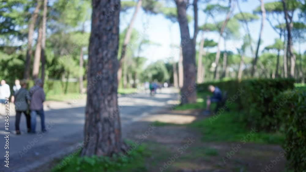 Blurred people walking along a tree-lined path in villa borghese capturing an outdoor serene atmosphere in rome, italy with foliage evident and natural light highlighting the scene. Blurred people walking along a tree-lined path in villa borghese capturing an outdoor serene atmosphere in rome, italy with foliage evident and natural light highlighting the scene.
