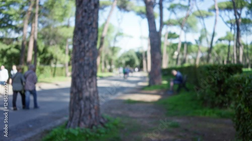 Wallpaper Mural Blurred people walking along a tree-lined path in villa borghese capturing an outdoor serene atmosphere in rome, italy with foliage evident and natural light highlighting the scene. Torontodigital.ca