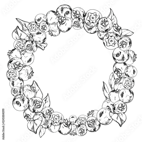 Blueberry blackberry, hand drawn in ink vector, group of scattered ripe forest berry with drops and plant leaves. Wreath frame isolated illustration, for restaurant, cafe menu, wedding, farmers market