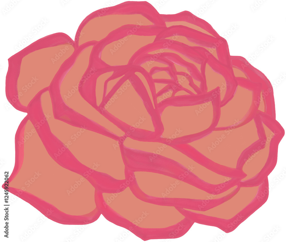 Obraz premium Beautiful blossom pink old rose rose