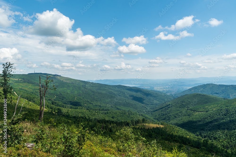 Fototapeta premium View from Malinowska Skala hill in Beskid Slaski mountains in Poland