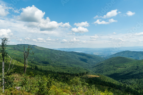 Fototapeta Naklejka Na Ścianę i Meble -  View from Malinowska Skala hill in Beskid Slaski mountains in Poland