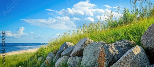 Fototapeta Naklejka Na Ścianę i Meble -  Breakwaters on the Baltic Sea coast with green grass blue sky and stone wall texture on a sunny summer day at the beach