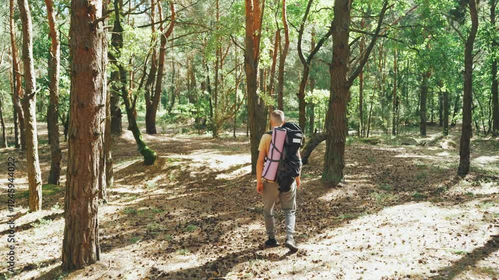 custom made wallpaper toronto digitalEmbarking on a Hiking Adventure in the serene Summer Woods A Captivating Journey Through Natures Enchanting and Stunning Beauty and Wonder Awaits You in the Great Outdoors All Summer Long