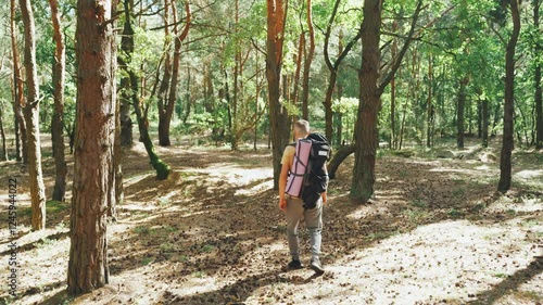 Wallpaper Mural Embarking on a Hiking Adventure in the serene Summer Woods A Captivating Journey Through Natures Enchanting and Stunning Beauty and Wonder Awaits You in the Great Outdoors All Summer Long Torontodigital.ca