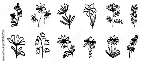 Ink marker gouache flowers hand drawn sketches botanical illustrations. Dry brush stroke simple minimalistic floral doodles isolated on white for cosmetics, kid education