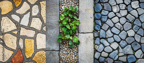 Fototapeta Naklejka Na Ścianę i Meble -  Close-up perspectives of cobblestone streets showcasing diverse textures and small green plants in an urban Brazilian setting