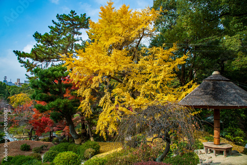 japanischer Garten in Herbst, Japan   photo