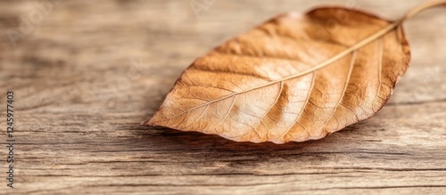 Dried brown leaf on rustic wooden surface showcasing natural textures and autumnal colors in a serene, organic setting. photo