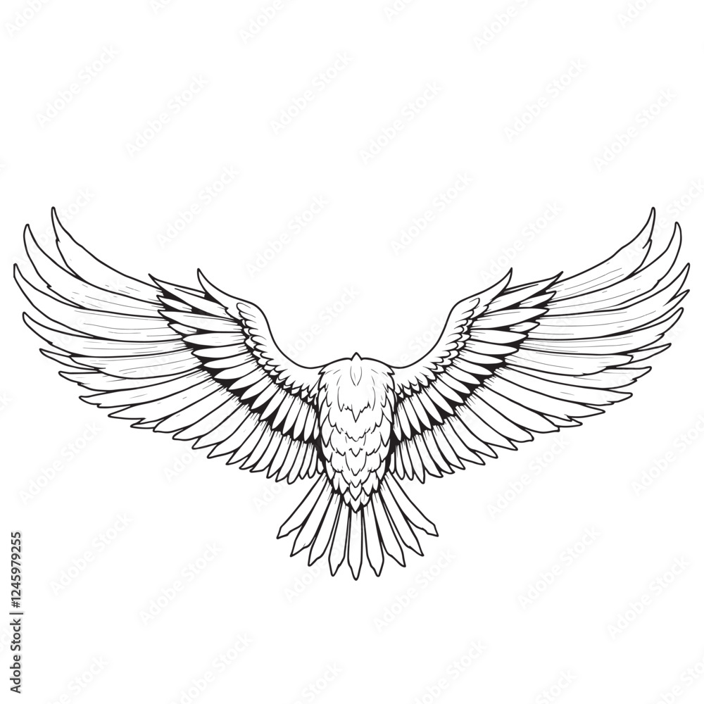 Obraz premium vector wings of a bird, vector wings of the eagle, eagle with wings