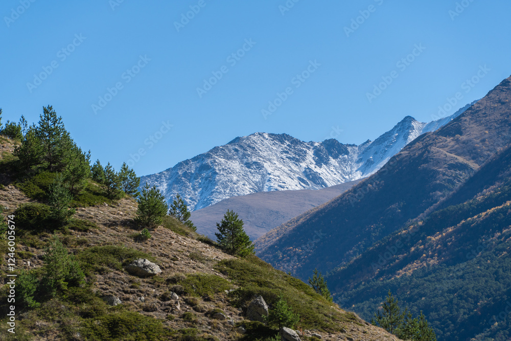 Obraz premium Alpine meadows spread out at foot of snow-capped peaks. Kabardino-Balkaria. View of snow-capped peaks of Chegem Gorge. Majestic natural landscapes of Elbrus region against backdrop of blue autumn sky
