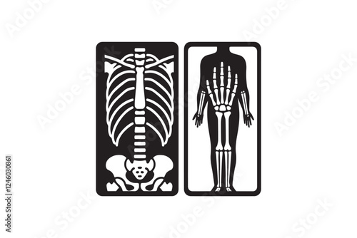 Human x-ray vector silhouette isolated in white background