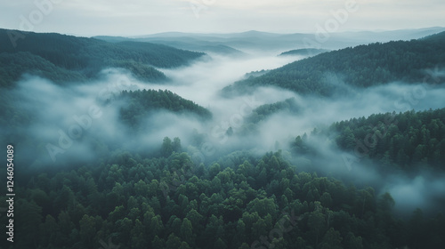 Wallpaper Mural Foggy forested hills with dense greenery and low-lying mist creating a serene and atmospheric natural landscape Torontodigital.ca