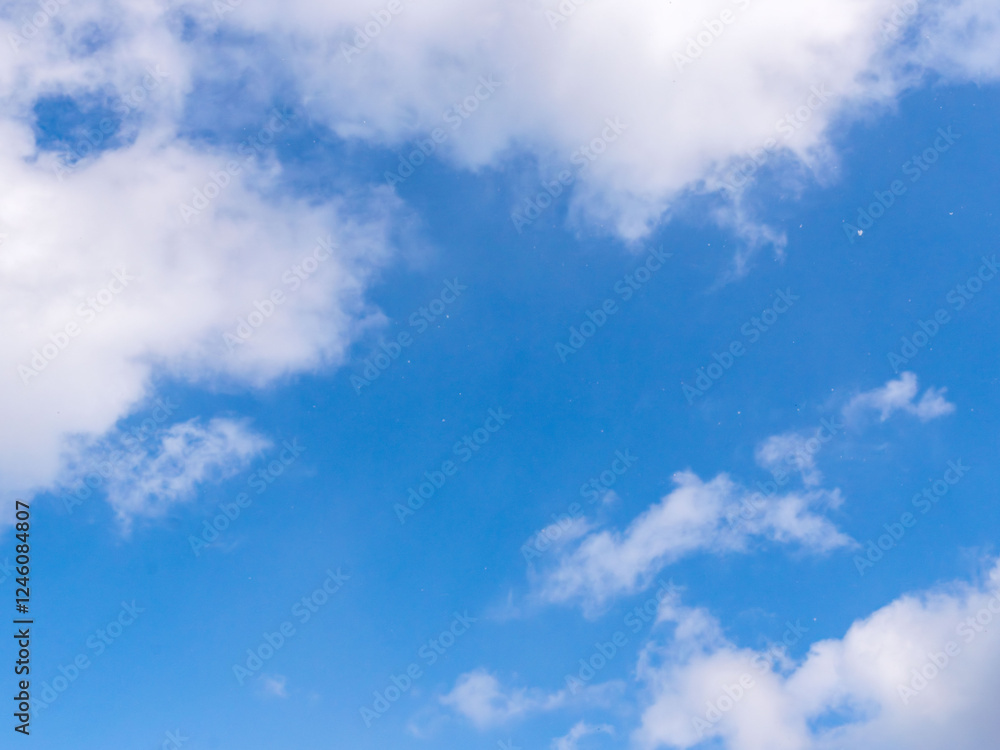 Fototapeta premium 冬の青空に雪が舞う07