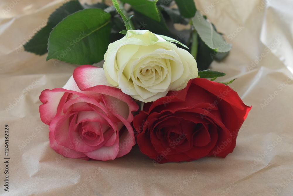 Naklejka premium Roses for Valentine's Day 2025.