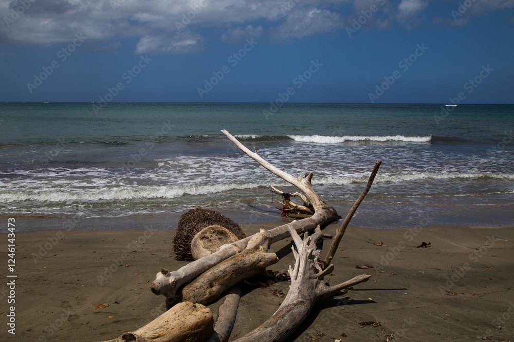 Coast and beach in the northern part of Dominican Republic, Caribbean.