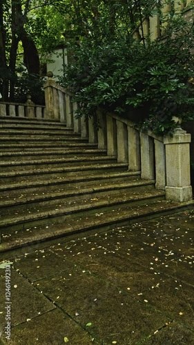 Elegant Mossy Stone Staircase in Greenery