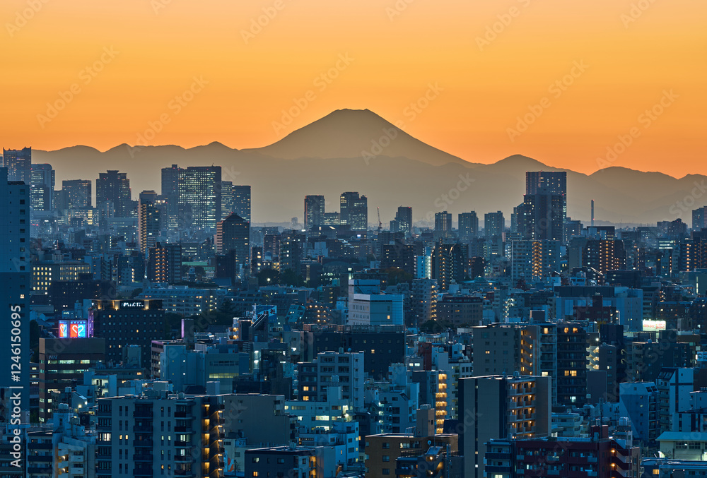 Naklejka premium Tokyo City Skyline with Mount Fuji at Sunset