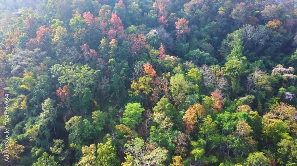 Aerial view of beautiful mountain landscape with colorful forest in autumn. The autumn colors of the tropical mountain forest in Thailand. Aerial view of beautiful mountain landscape with colorful forest in autumn. The autumn colors of the tropical mountain forest in Thailand.