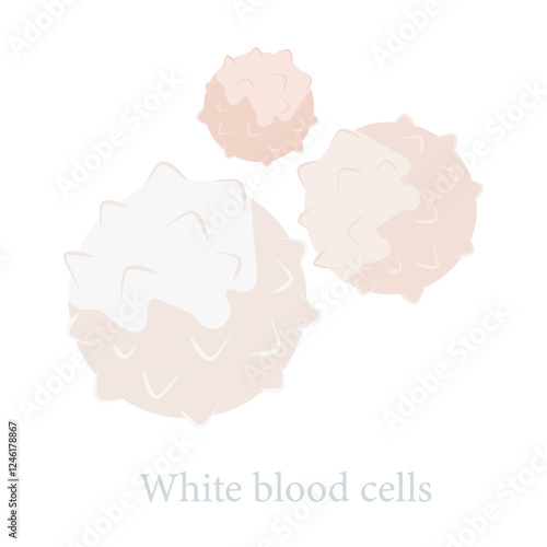 Vector image of blood composition. Red blood cells, white blood cells and platelets. Medical illustration for studying a person and his body. Element for your design.