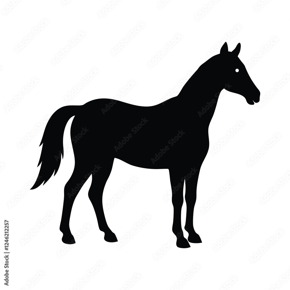 Obraz premium silhouette of a horse Art 