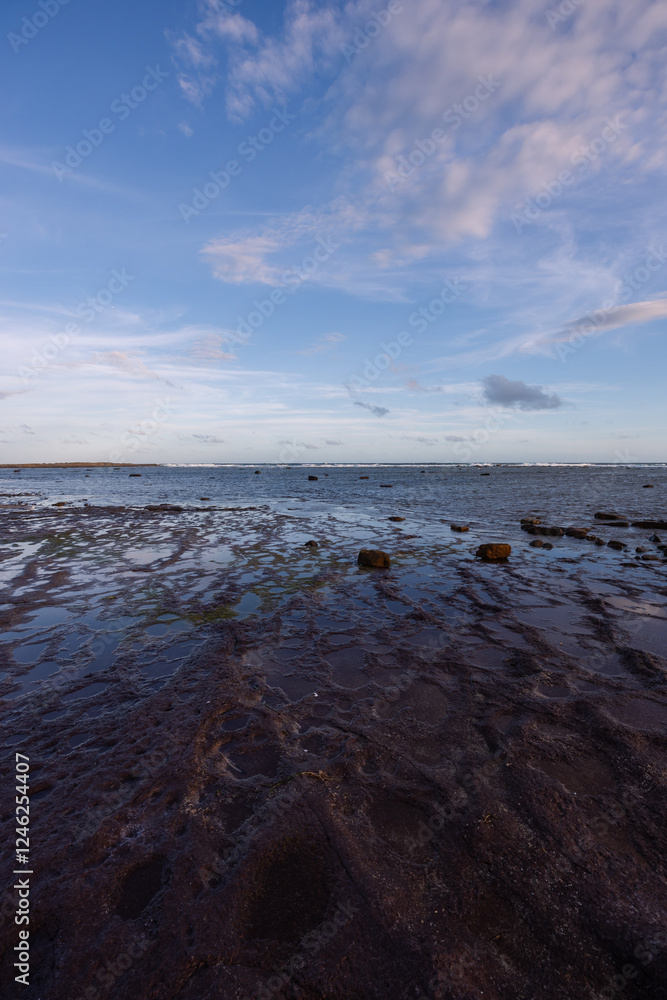 Obraz premium Beautiful rocky shore of Long Reef, Sydney, Australia.