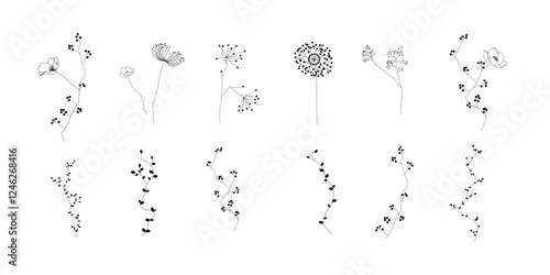 植物のイラストのセット、野の花、野の葉、ボタニカル、ベクター