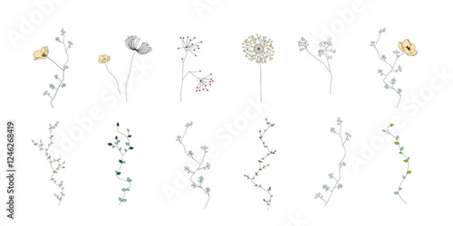植物のイラストのセット、野の花、野の葉、ボタニカル、ベクター