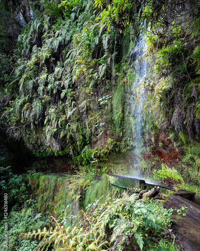 Levada do Rei, Madeira island