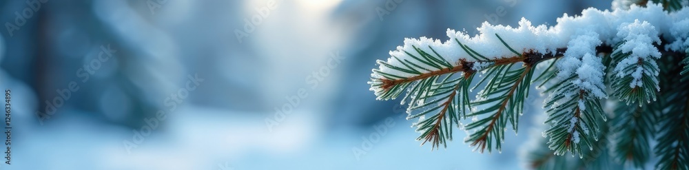 Naklejka premium Frosty pine branch amidst winter snow, frozen moment, wintry atmosphere, winter scene, snow covered branches