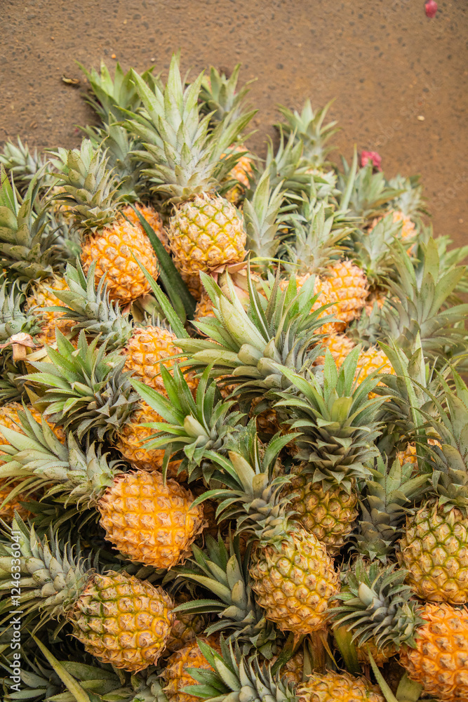 Pineaple is a tropical fruit. Pineaple is a tropical fruit.