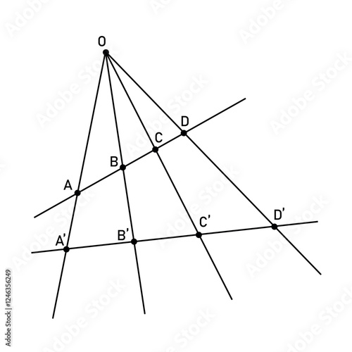 Cross Ratio of Four Points in Geometry.