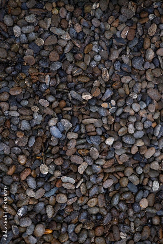 Myriad Of Smoothly Rounded Pebble Stones Myriad Of Smoothly Rounded Pebble Stones