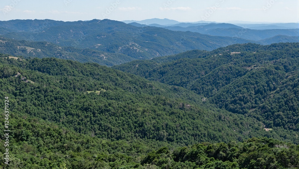 Obraz premium Aerial view of lush green forest spreading across rolling hills a serene and vast natural landscape captured from above