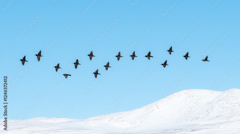 Birds flying over snowy hills, clear sky Birds flying over snowy hills, clear sky