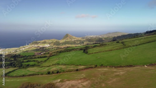 Cows, Mosteiros, Azores from a bird's-eye view. The Atlantic Ocean, with its powerful waves crashing against the rugged coastline.A black sand beach and cliffs, formed from solidified lava, 