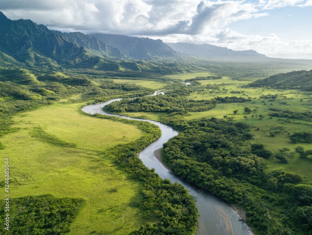 Fototapeta premium Scenic aerial view of lush valley landscape with winding river and mountain range