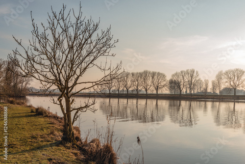 Obraz na płótnie Backlit shot of a bare tree at the water's edge. On the other side there is a whole row of bare trees. The photo was taken in the Dutch winter season at a wide creek in a nature reserve. w salonie
