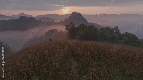 This breathtaking drone footage captures a stunning sunrise over the misty mountains of Northern Thailand. As the golden light pierces through the mist, the landscape reveals rolling hills.