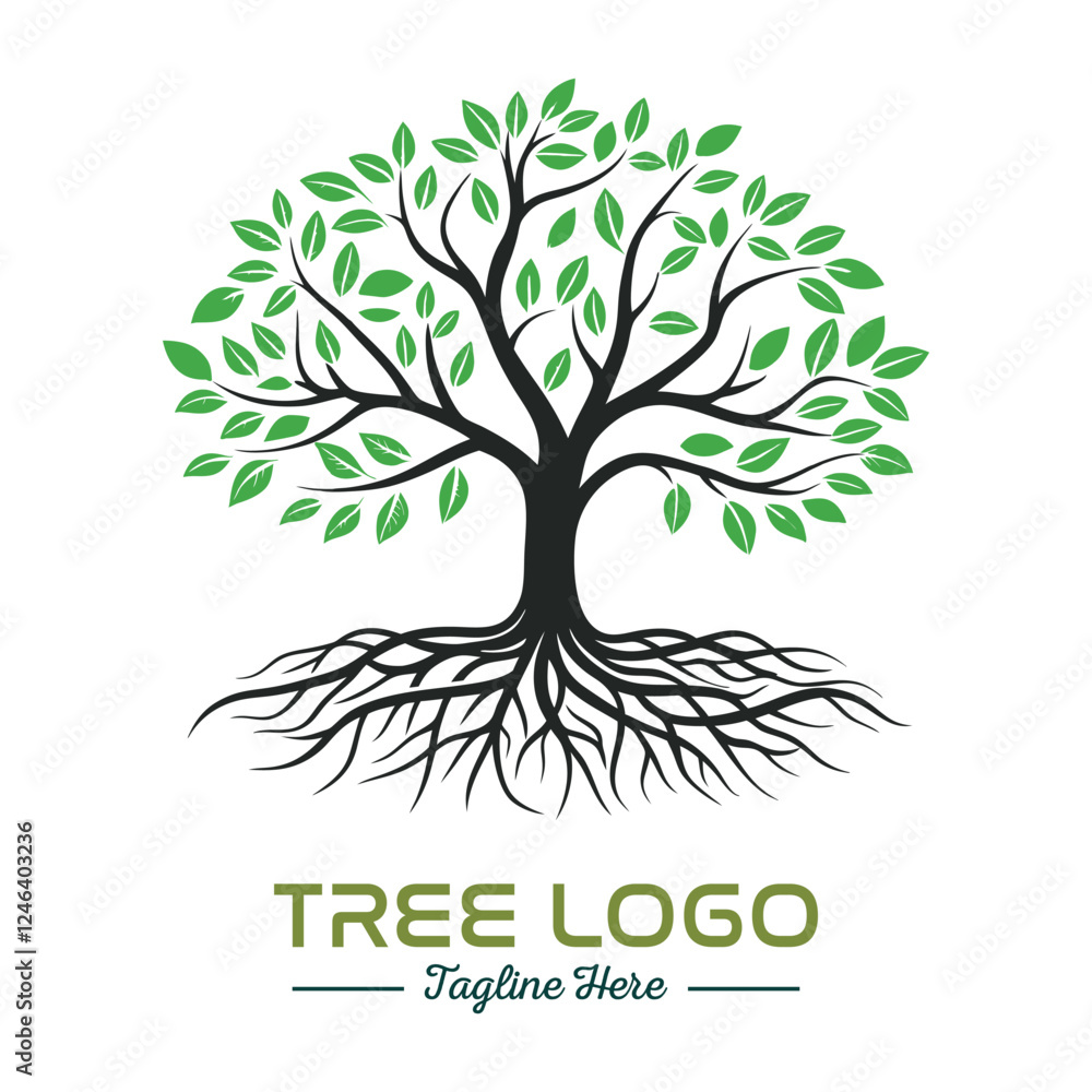 Fototapeta premium Beautiful green tree silhouette and vector design, minimalist business logo for tree icon on white background.
