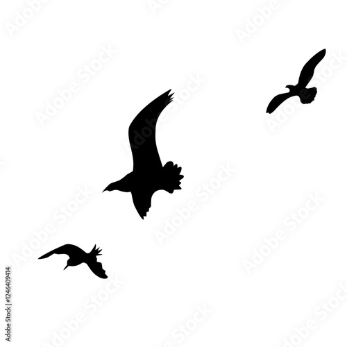 birds in flight