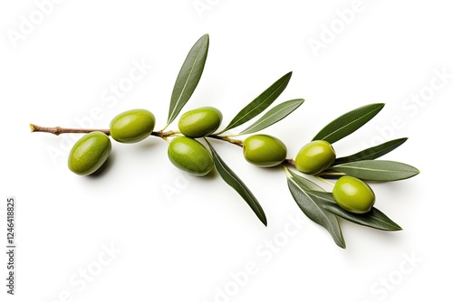 Olive branch on white as package design