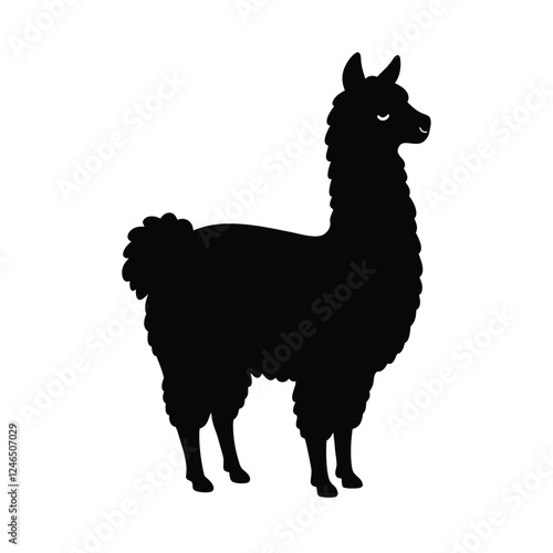 lama on white background