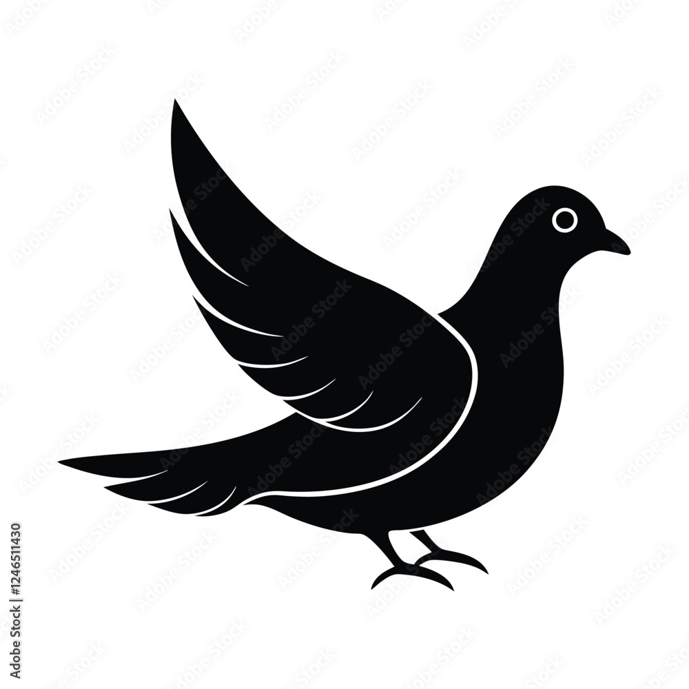 Fototapeta premium dove on white background