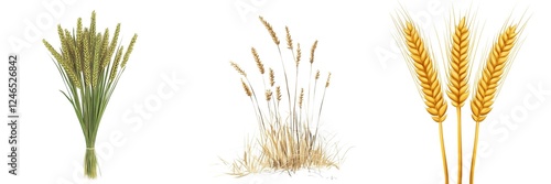 A collection of different types of wheat showcasing their vibrant green, golden, and dry textures, perfect for agricultural and nature-themed projects. Copy space for text