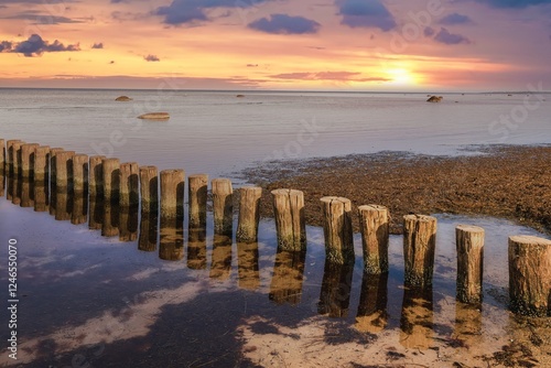 Fototapeta Naklejka Na Ścianę i Meble -  Morning light over the Baltic Sea beach
