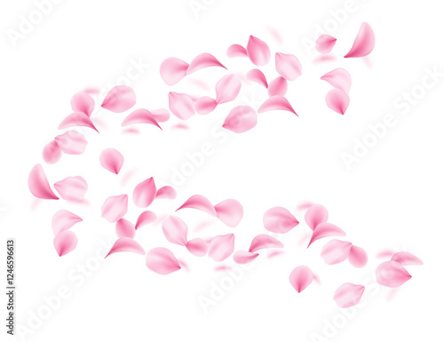 Flying soft pink petals scattered in air. 3d realistic style. Blossom Leaf collection varied shapes. Vector illustration isolated on white background
