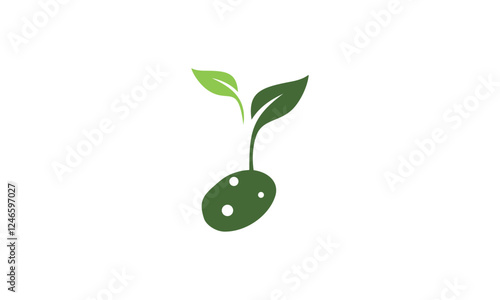 a graphic image with potato sprout theme, white background. vector graphic base.